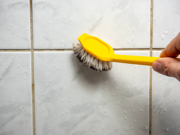 Best Emergency Mold Removal  in West Chester, PA