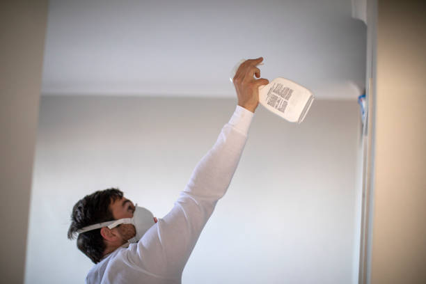 Best Certified Mold Removal  in West Chester, PA