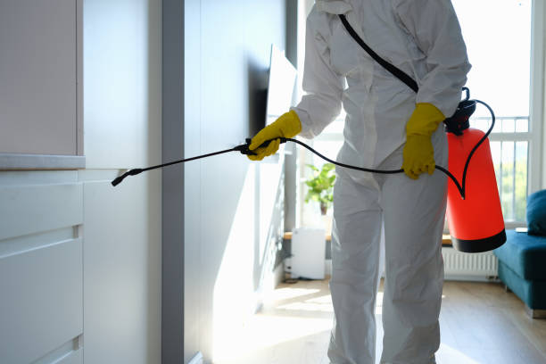 Best Mold Cleaning Services  in West Chester, PA