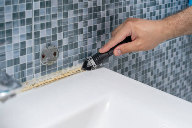 Best Professional Mold Removal  in West Chester, PA